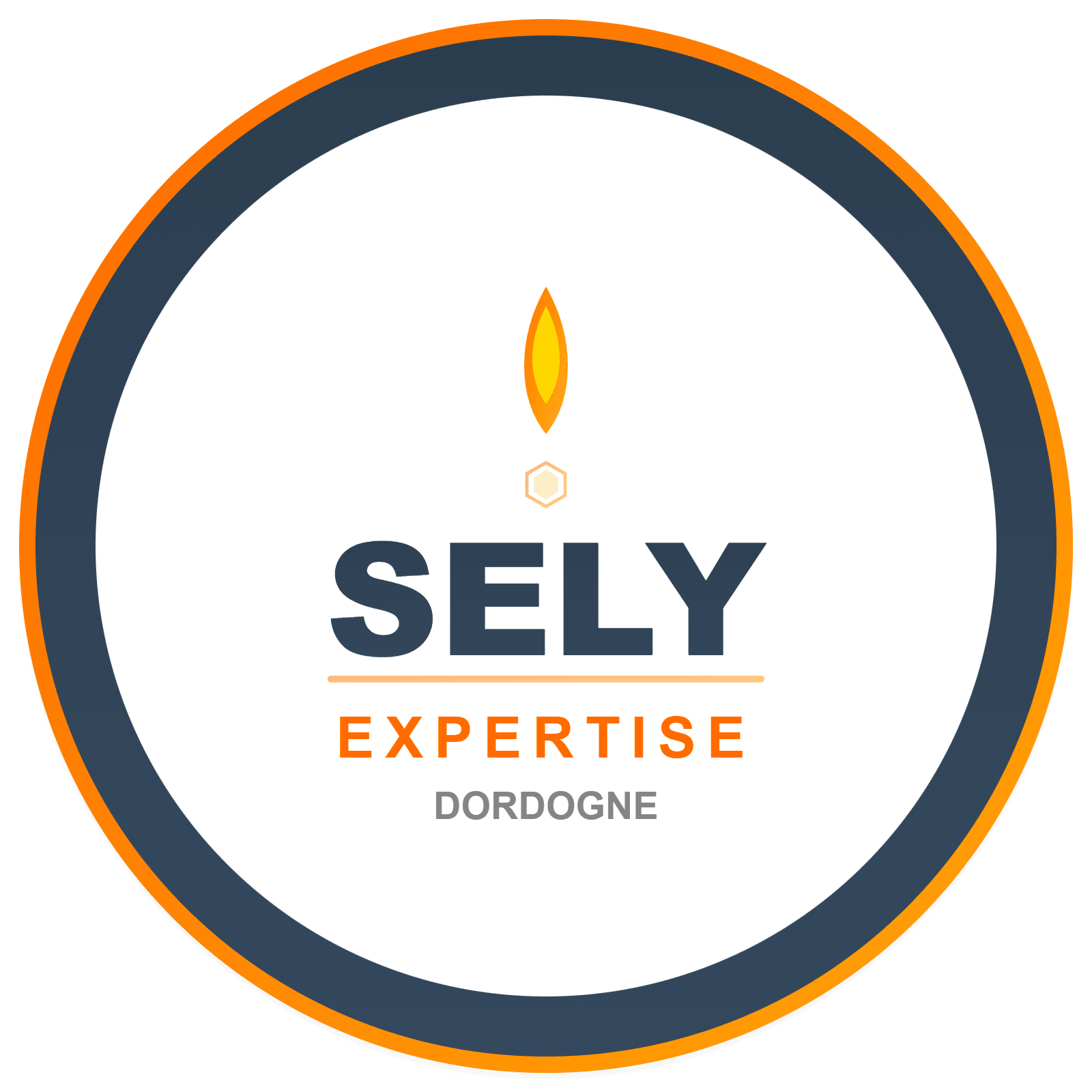 Logo SELY Expertise